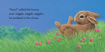 Little Bunny Board Book