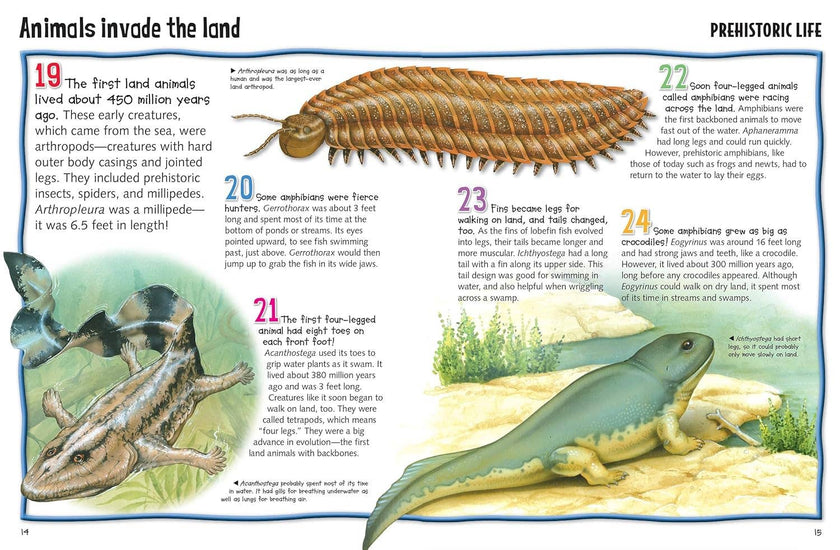 Wild About Dinosaurs Hardcover Book