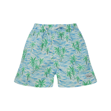 Kids UPF50+ Wesley Swim Trunks with Mesh Liner for Boys