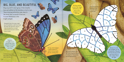 Sticker by Number: Rain Forest Sticker Book