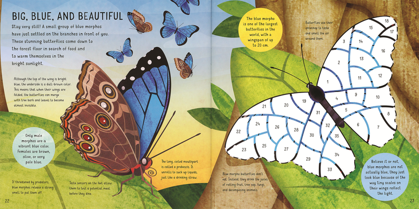 Sticker by Number: Rain Forest Sticker Book