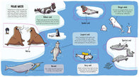Little Explorers: Under the Sea Book