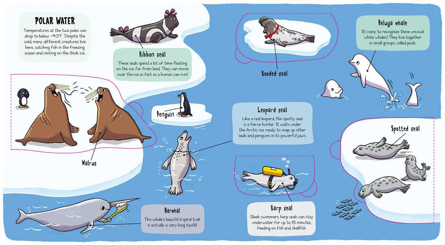 Little Explorers: Under the Sea Book