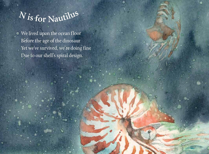 S is for Sea Glass: A Beach Alphabet Picture Book