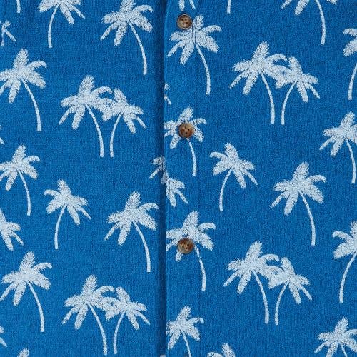 Boys Toddler Matching Blue Palm Terry Set