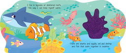 Coral Days with Clownfish Board Book