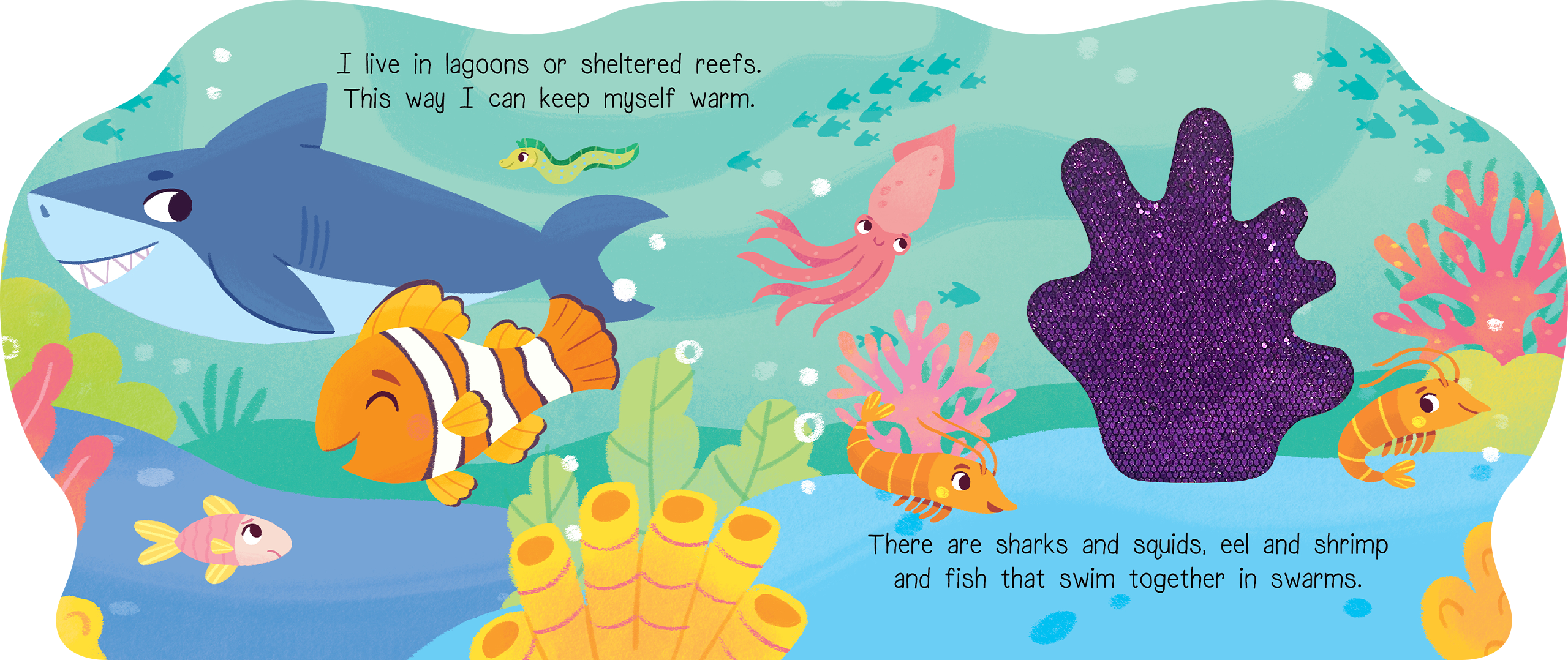 Coral Days with Clownfish Board Book