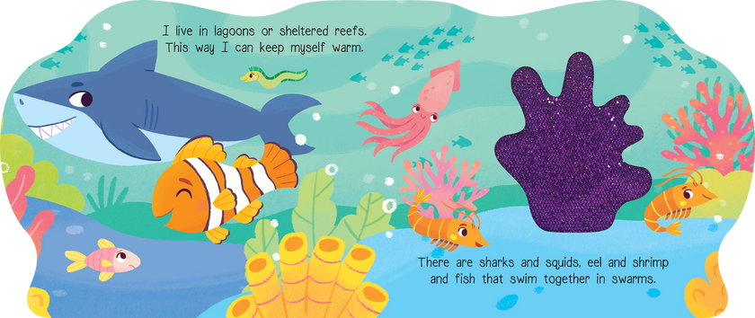 Coral Days with Clownfish Board Book