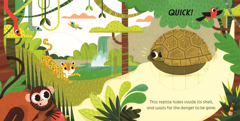 In the Jungle Board Book