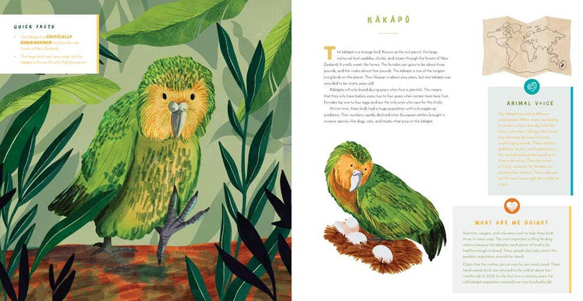 Hear Them Roar: 14 Endangered Animals - Kids' Hardcover Book