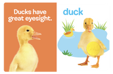 Farm Animals: A Touch and Feel Book