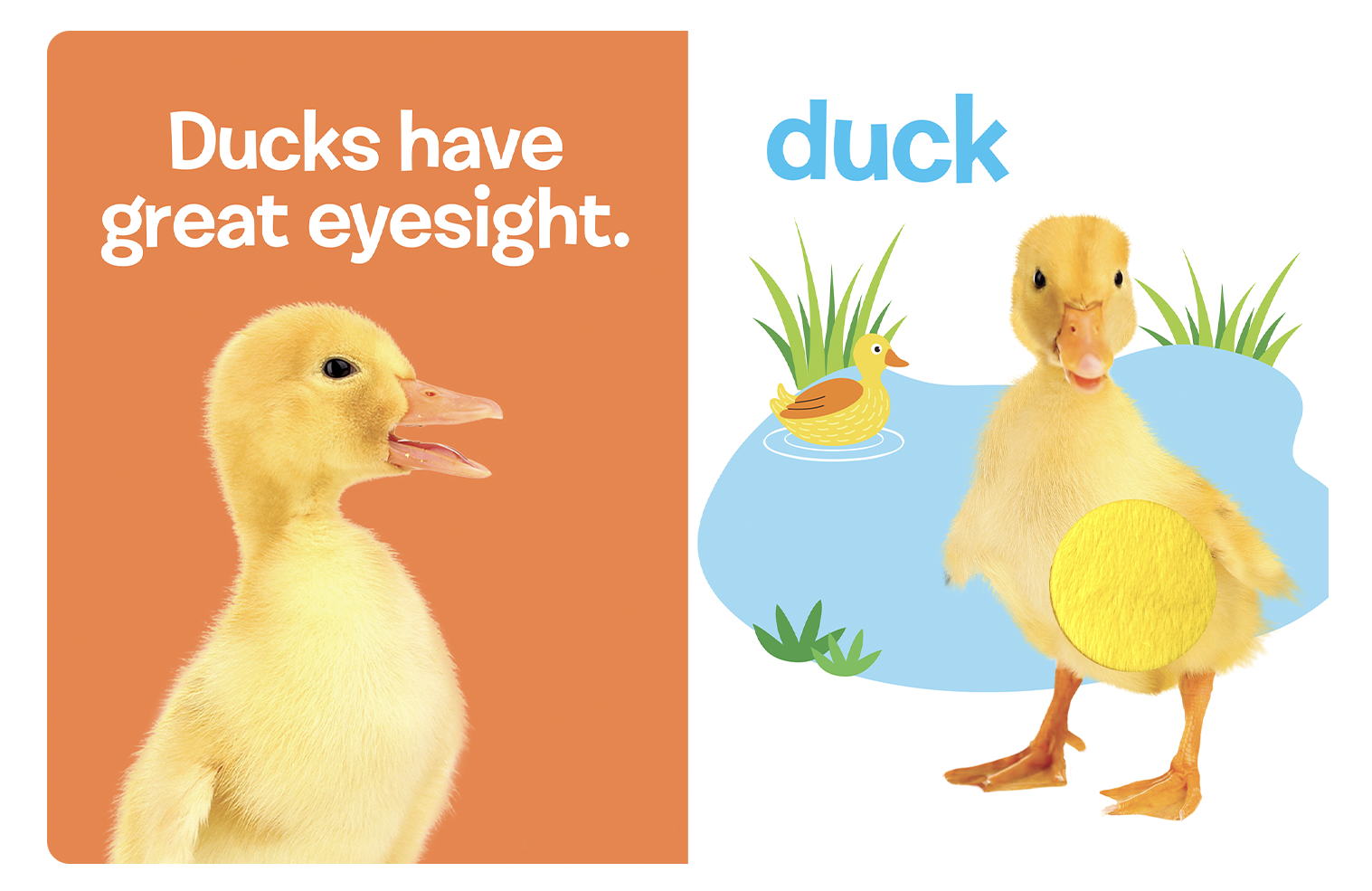 Farm Animals: A Touch and Feel Book