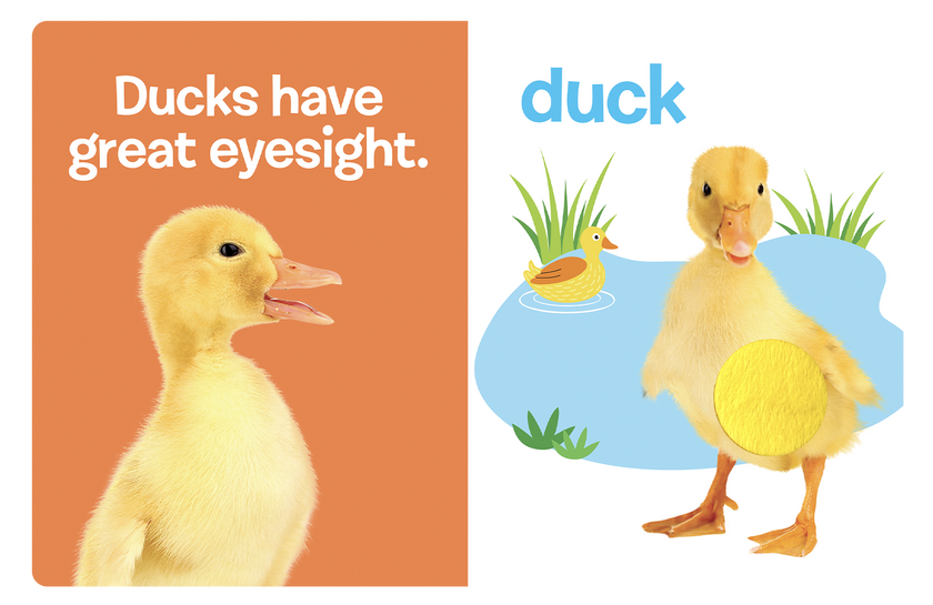 Farm Animals: A Touch and Feel Book
