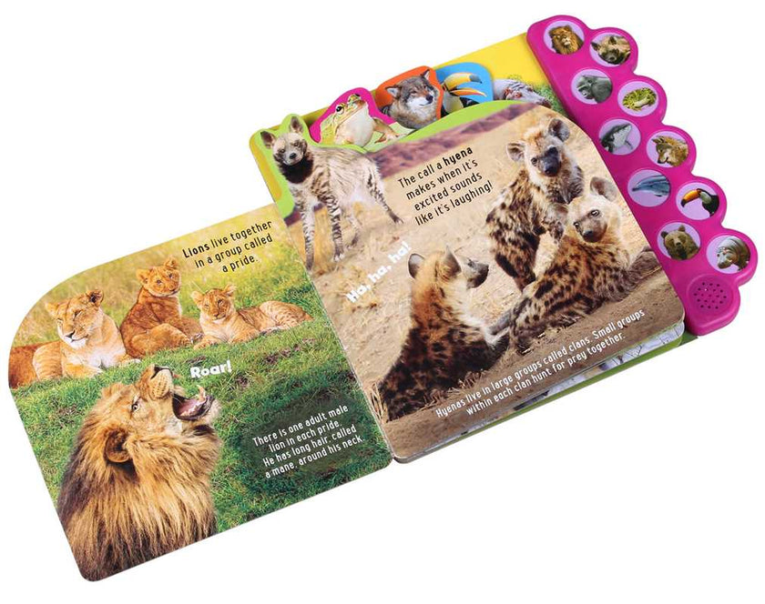 Discovery: Howl with the Animals! Board Book