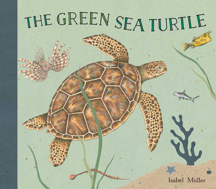 The Green Sea Turtle Hardcover Book
