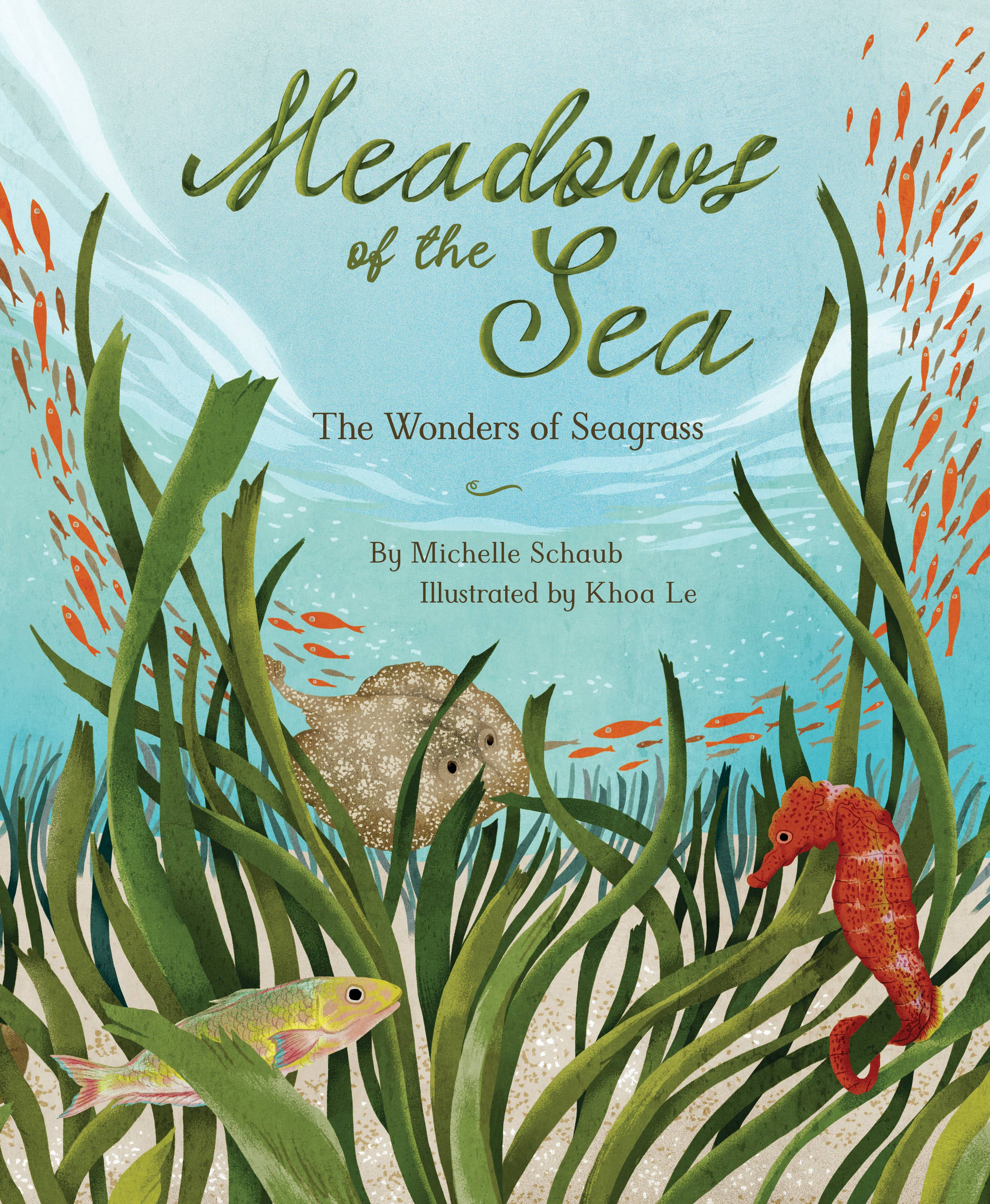 Meadows of the Sea: The Wonders of Seagrass Picture Book