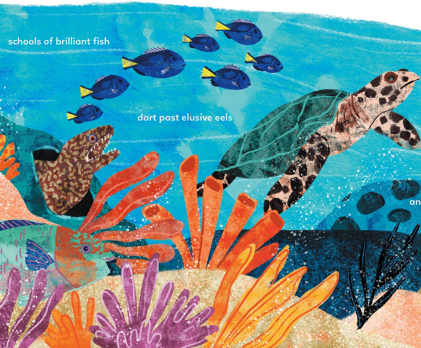 The Ocean Blue and You Hardcover Picture Book