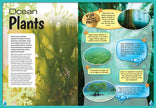 Smithsonian Kids Young Explorers: Oceans Book