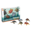 Box Set Conservation Turtle Toys