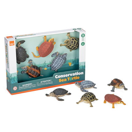 Box Set Conservation Turtle Toys