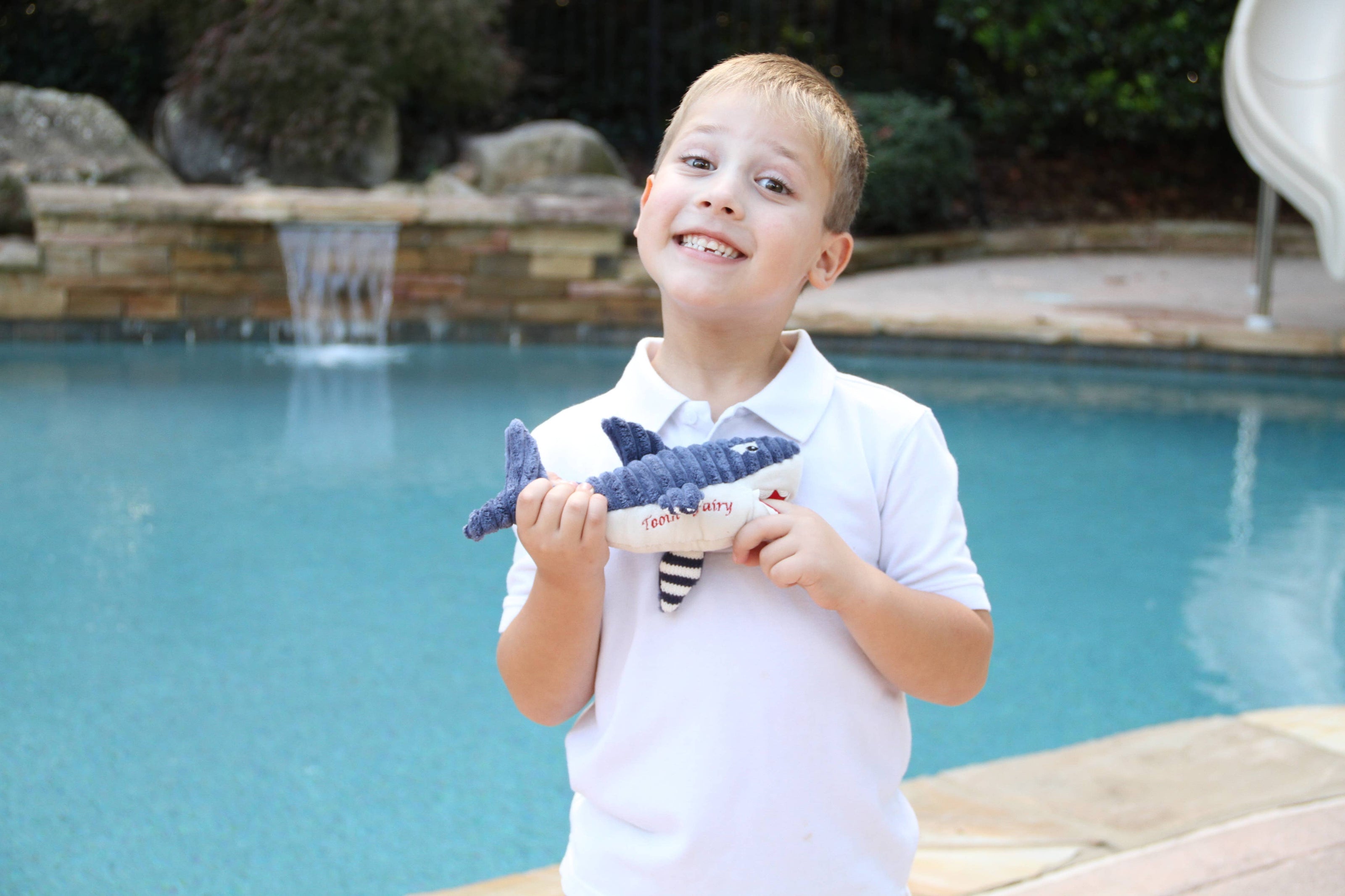 Bruce The Shark Tooth Fairy