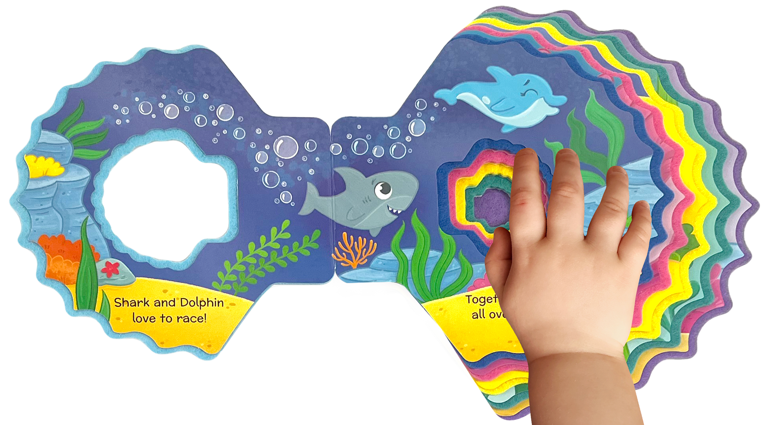 Ocean Buddies Board Book