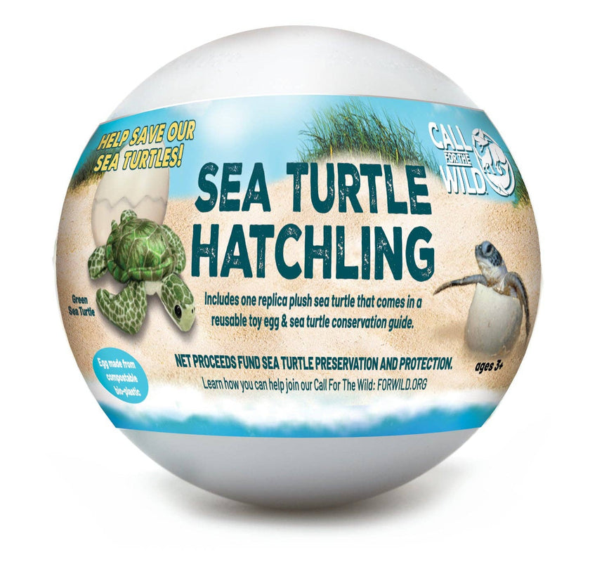 Sea Turtle Hatchling Plush Stuffed Animal