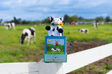 Honey the Cow Jack in the Box