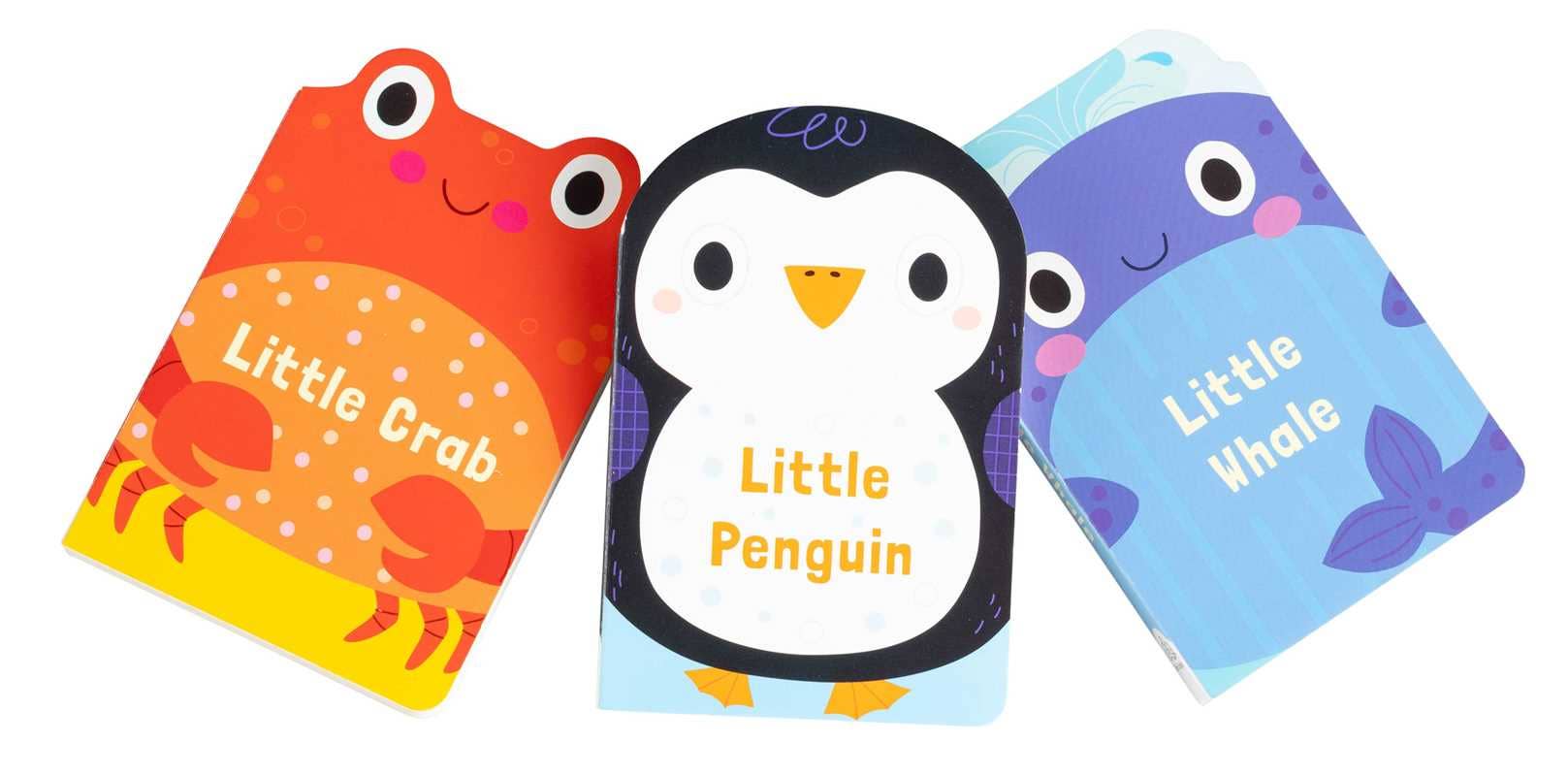 Animal Families: Under the Sea Book