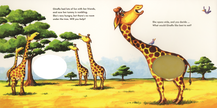 Feed the Animals Board Book