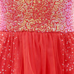 Twinkling Dress