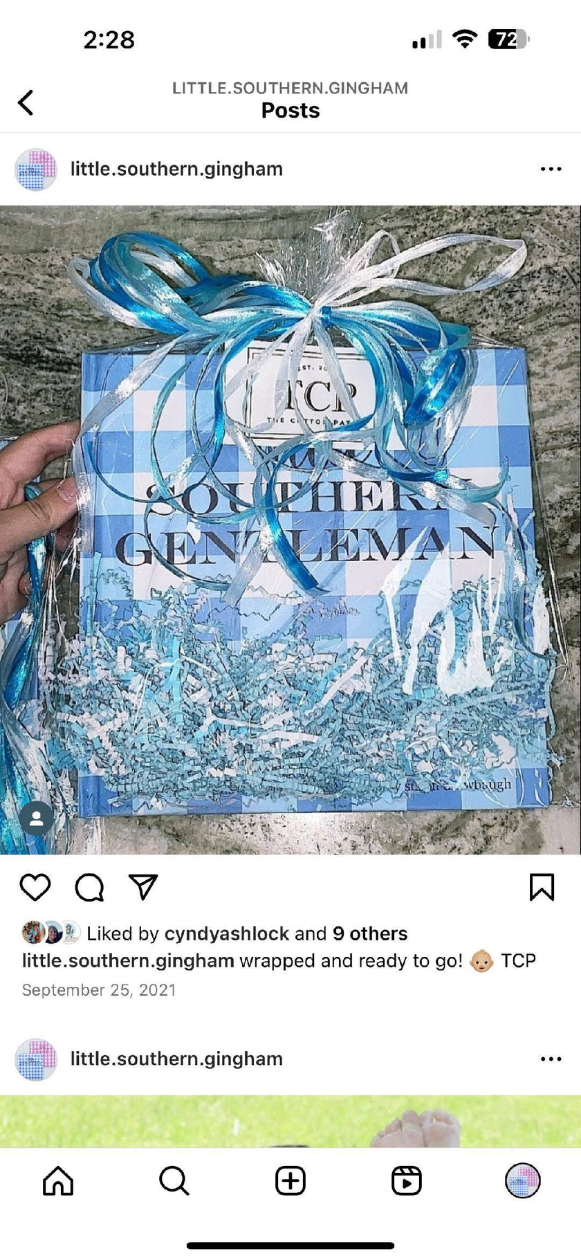 Little Southern Gentleman Children's Book