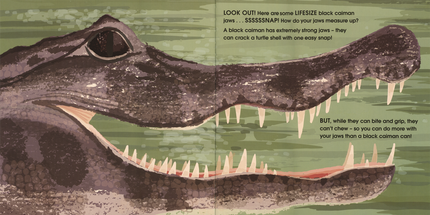 Lifesize Deadly Animals Hardcover Book