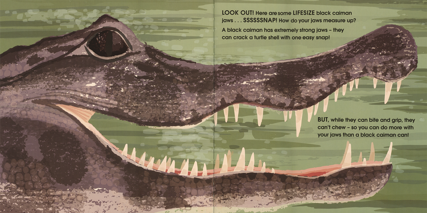 Lifesize Deadly Animals Hardcover Book