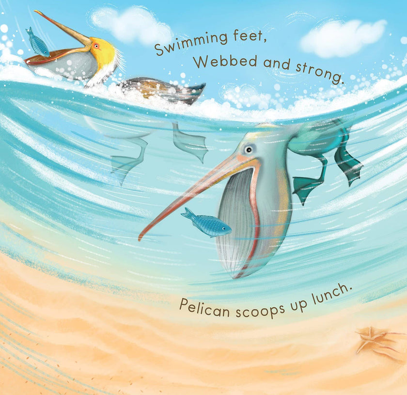 Sandy Feet! Whose Feet? Footprints at the Shore Picture Book