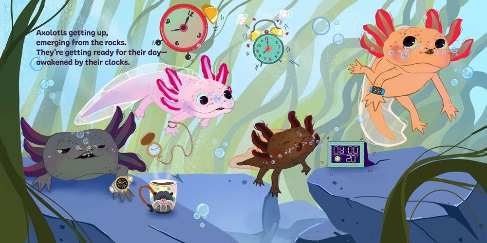 Axolotls: Day to ZZZ Book