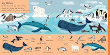 101 Sea Creatures to Find Board Book