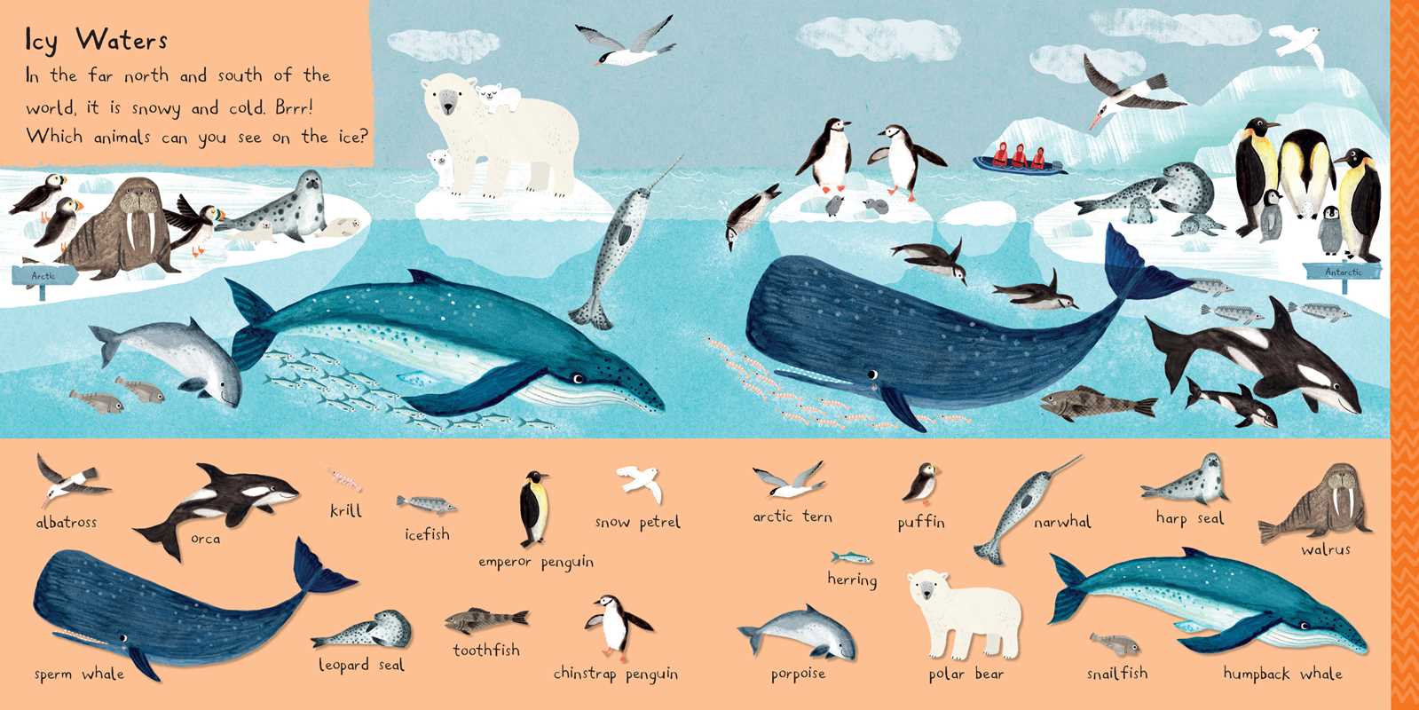 101 Sea Creatures to Find Board Book