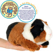 Gianni The Guinea Pig - 9 Inch Stuffed Animal Plush