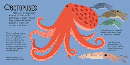 Panoramic Pop-Ups: Ocean Hardcover Book