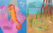 Sea Hides a Seahorse Hardcover Book