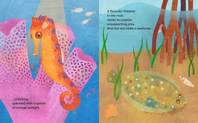 Sea Hides a Seahorse Hardcover Book