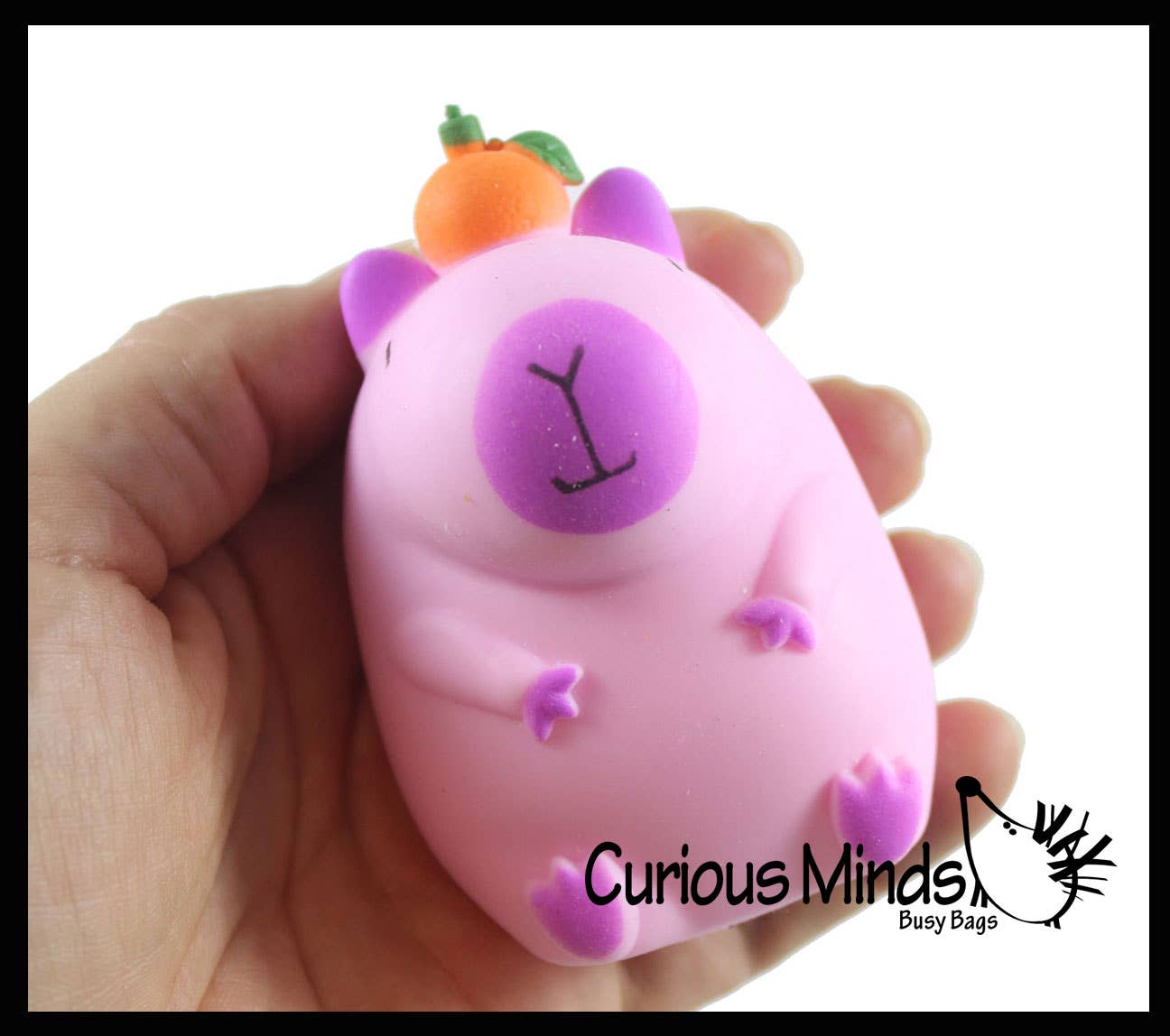 Capybara Stretchy Sand Filled - Lover Sensory Fidget Squishy Toy