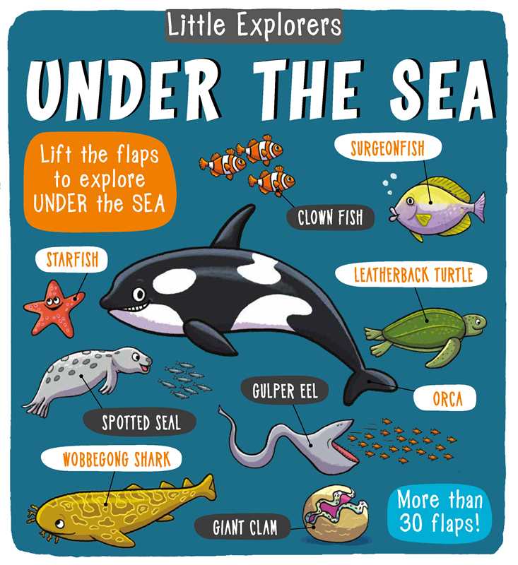 Little Explorers: Under the Sea Book