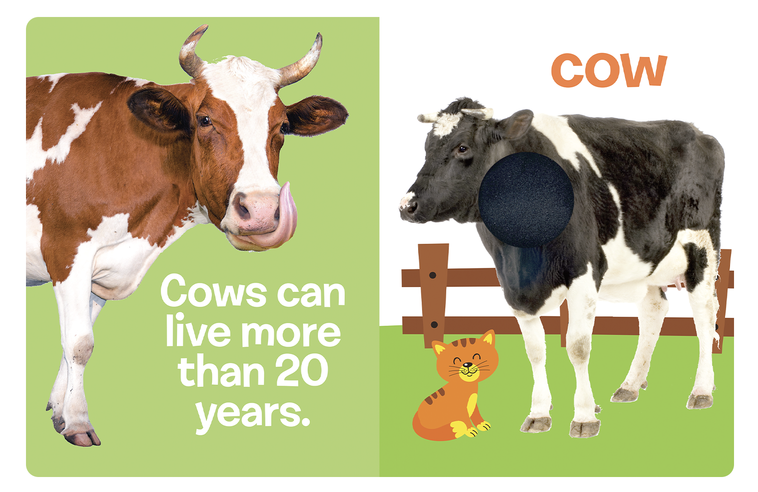 Farm Animals: A Touch and Feel Book