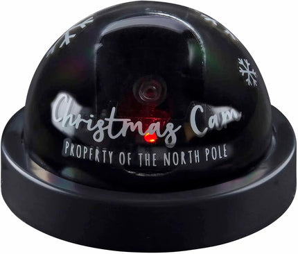 Christmas Cam