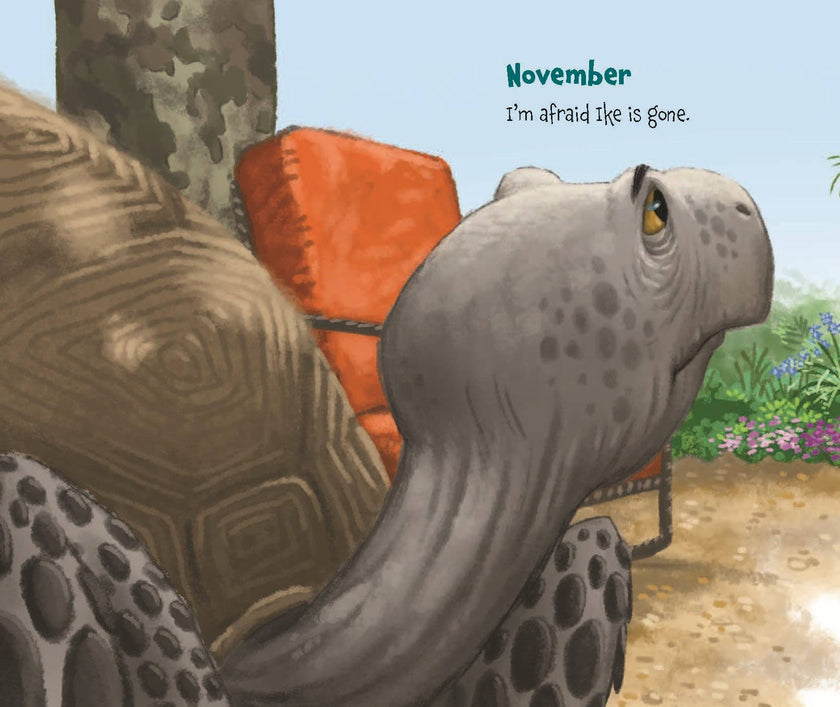 Memoirs of a Tortoise, a picture book
