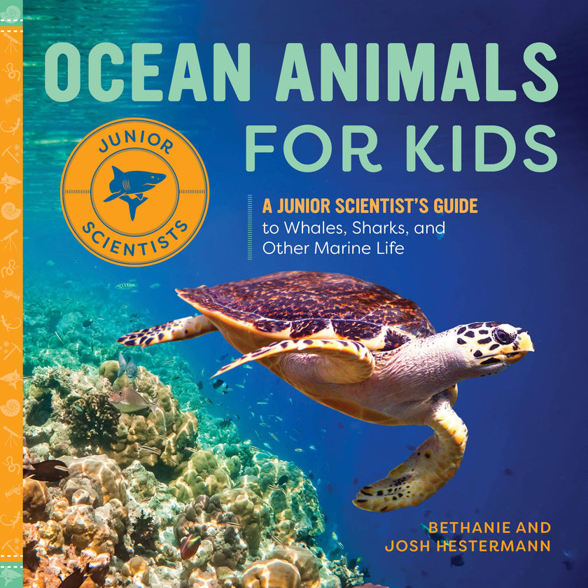 Ocean Animals for Kids Book