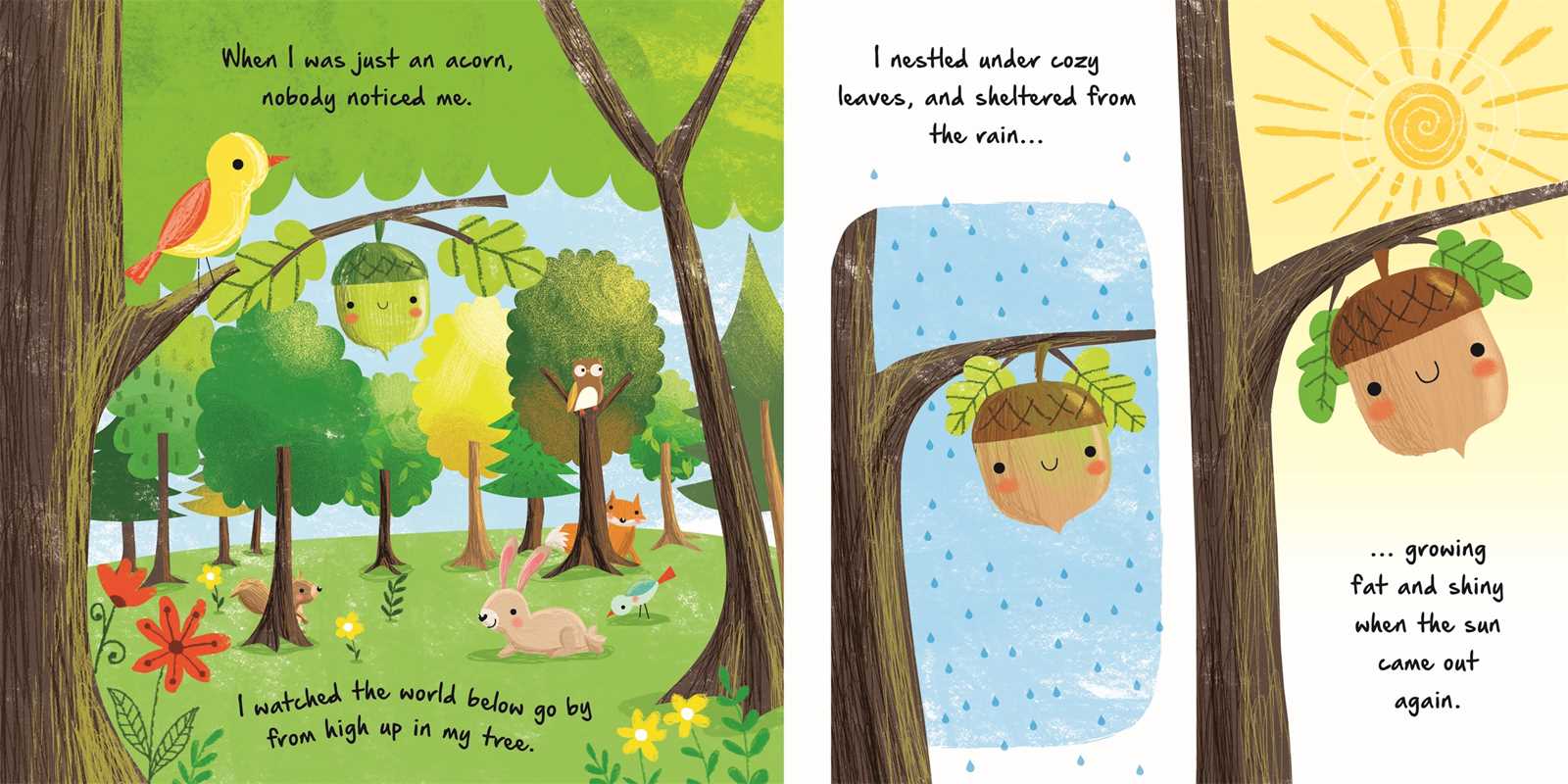 Nature Stories: Little Acorn-Discover an Amazing Story from the Natural World Board Book