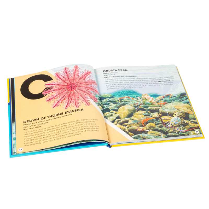 A to Z of Ocean Life Hardcover Book